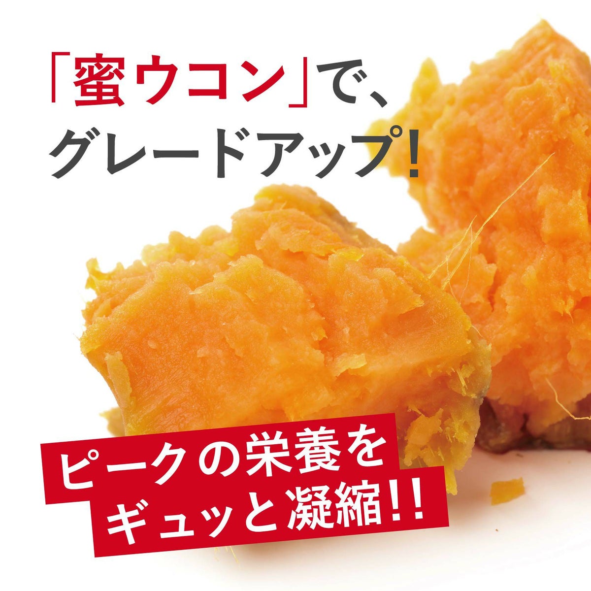 foodprimerr903